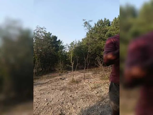 BELBIG free chat on liveonude Image 11