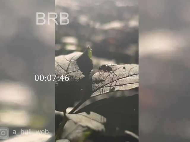 harleyysummers free chat on liveonude Image 9