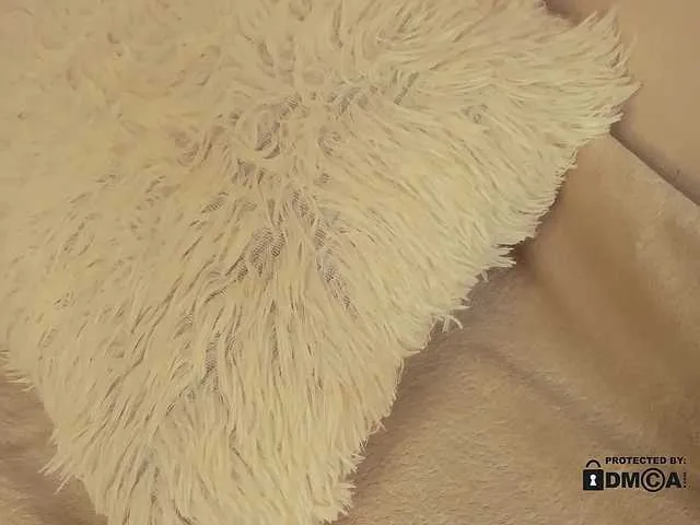 AlisaSweety free chat on liveonude