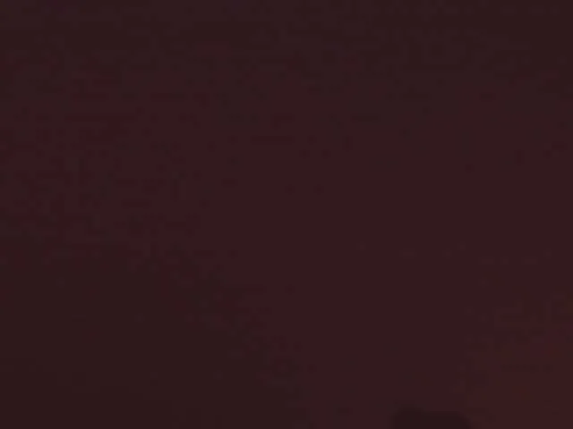 tara9hippo free chat on liveonude Image 12