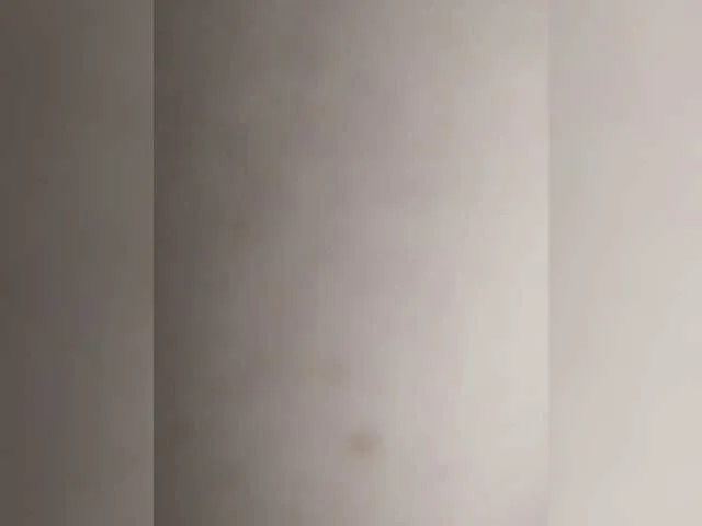 tara9hippo free chat on liveonude Image 14