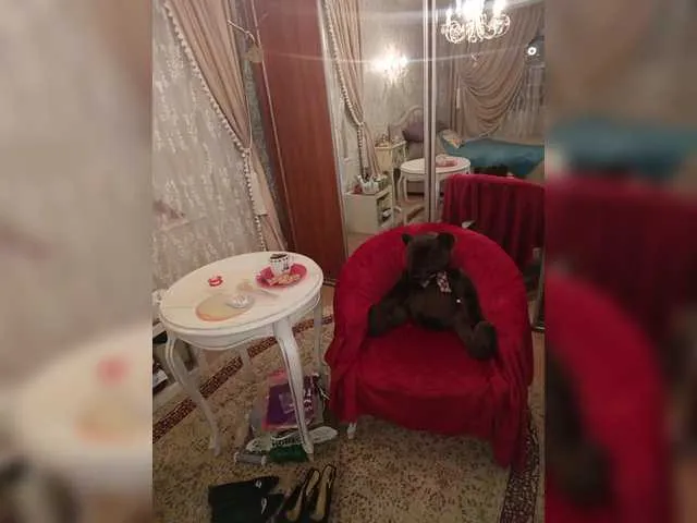 isabelle_sara free chat on liveonude Image 16