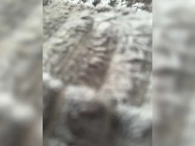 xunybany free chat on liveonude Image 12