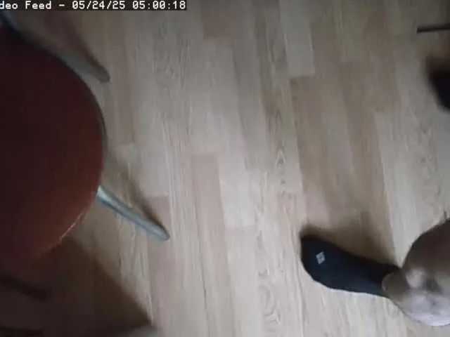 BonnieandClyde free chat on liveonude