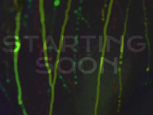 shelleymorell free chat on liveonude Image 5