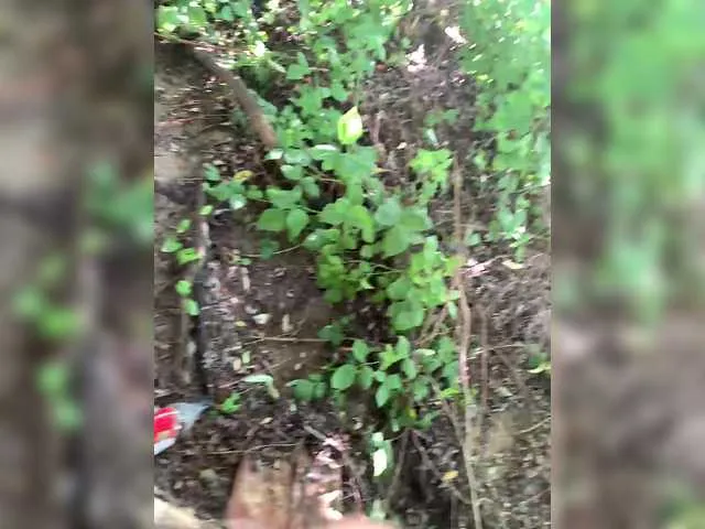 SheOnShe free chat on liveonude Image 6