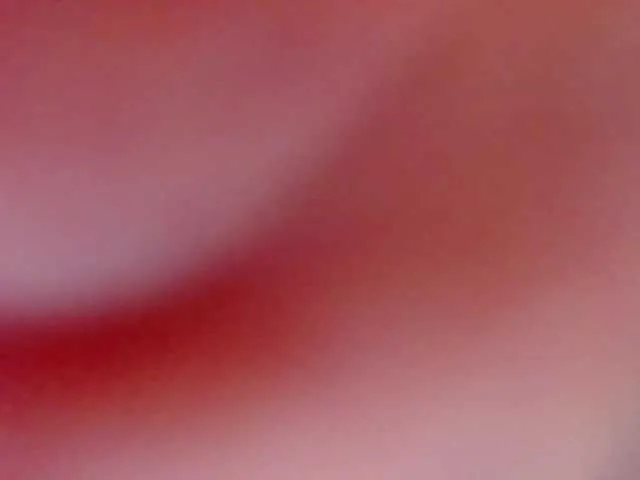 alannavidal free chat on liveonude Image 14