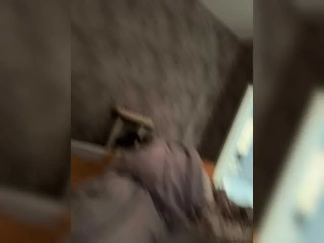 Katyushaa free chat on liveonude Image 3