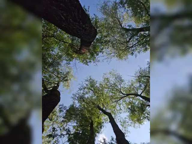 april_ebony18_ free chat on liveonude Image 11