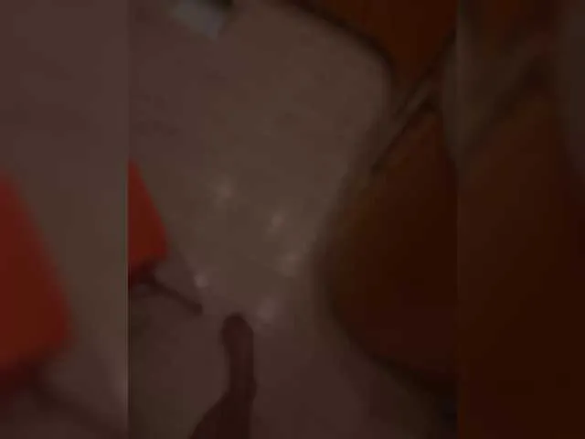 xunybany free chat on liveonude Image 7