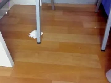 mara_summer free chat on liveonude Image 6