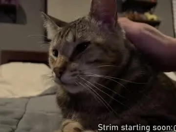 Wild-Angel777 free chat on liveonude Image 11