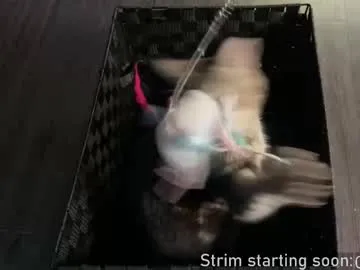 Wild-Angel777 free chat on liveonude Image 3