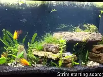 Wild-Angel777 free chat on liveonude Image 5