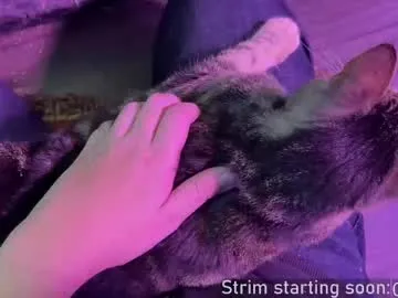 Wild-Angel777 free chat on liveonude Image 9