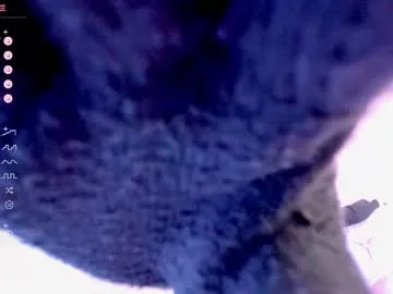 darkmousee free chat on liveonude