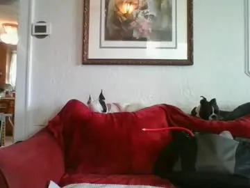 PinkFoxya free chat on liveonude Image 4