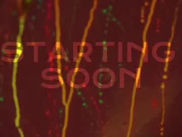 heymartina free chat on liveonude Image 15