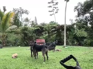 matildamoist free chat on liveonude Image 14