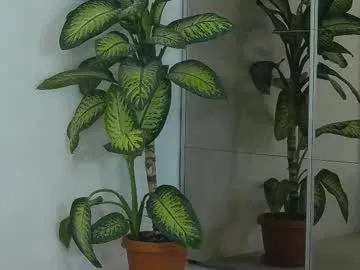 Sonya-reallsugar free chat on liveonude Image 2