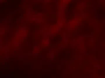 LanaLeetr1 free chat on liveonude Image 15