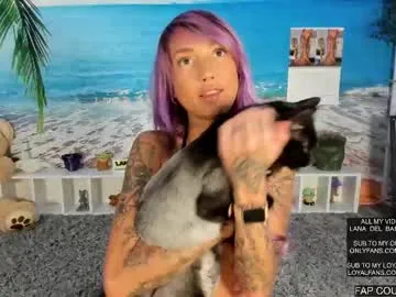 BELBIG free chat on liveonude Image 2