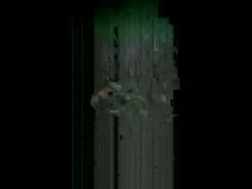 -Breid-1 free chat on liveonude Image 3