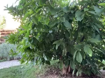 xunybany free chat on liveonude Image 11