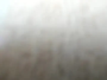 muttstirous free chat on liveonude Image 17